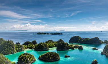 Pesona Keindahan Raja Ampat: Surga Bawah Laut di Indonesia