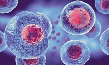 Menjelajahi Potensi Pengobatan Sel Punca untuk Penyakit Degeneratif