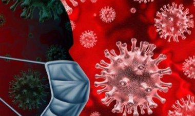 Krisis Kesehatan Global: Penyebaran Virus Baru Memicu Wabah yang Mengejutkan