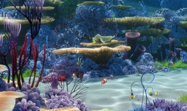 Eksplorasi Bawah Laut: Penemuan Baru di Dasar Lautan Mengungkap Keajaiban Alam