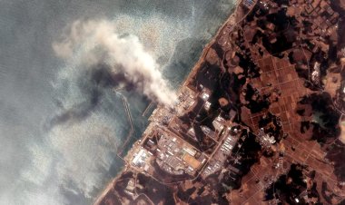 Khawatir Dampak Limbah Nuklir, Indonesia Mengimpor 16 Juta Kg Ikan dari Jepang