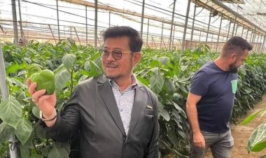 SYL 'Hilang Kontak' di Luar Negeri Ternyata karena Sakit