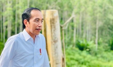 Kriteria PNS yang Layak Tinggal di IKN Menurut Jokowi: salah satunya memiliki mental yang kuat