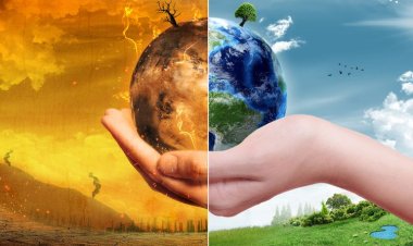 Dampak Peningkatan Suhu di Indonesia: Tantangan Perubahan Iklim dan Langkah-langkah Proaktif