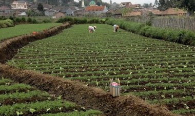 Pentingnya Dana Desa dalam Mewujudkan Pembangunan Berkelanjutan di Indonesia