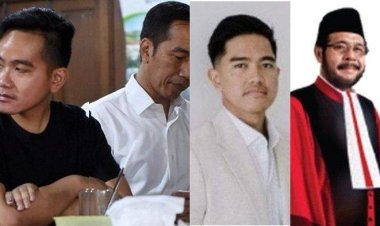 Dugaan Kolusi di MK: Jokowi, Anwar Usman, dan Gibran Diusut oleh TPDI