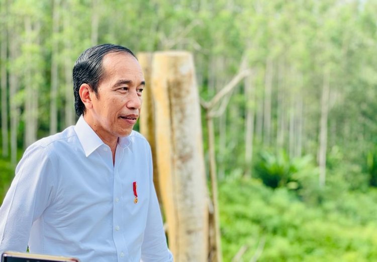 Kriteria PNS yang Layak Tinggal di IKN Menurut Jokowi: salah satunya memiliki mental yang kuat