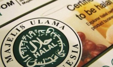 KSP Tolak Usulan MUI Cabut Sertifikat Halal Produk Pendukung Israel, Pertimbangkan Dasar Hukum