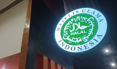 Kontroversi Terkait Sertifikat Halal: KSP Tolak, MUI Usul Cabut Produk Pendukung Israel