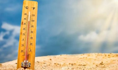 Rekor Pemanasan Global: Suhu Harian Sentuh 2 Derajat Celsius Di Atas Level Pra-industri