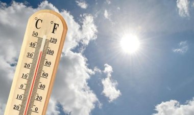 Rekor Panas Global: Tahun 2023 Diperkirakan Jadi yang Terpanas, Suhu Sentuh 2 Derajat Celsius di Atas Level Pra-Industri