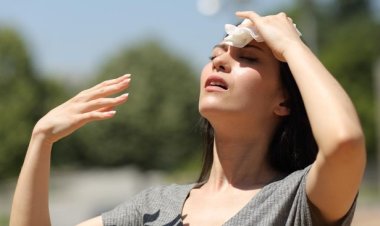 Rekor Pemanasan Global: Suhu Harian Sentuh 2 Derajat Celsius, Menandai Tahun Terpanas dalam Sejarah