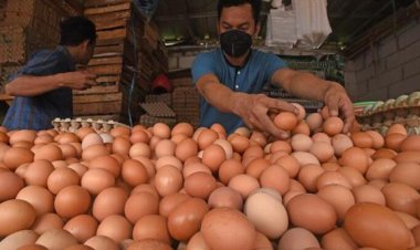 Pemerintah Lanjutkan Program Bantuan Pangan untuk 1,4 Juta Keluarga Rawan Stunting di 2024