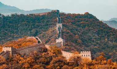 China Uji Coba Bebas Visa untuk Enam Negara Mulai 1 Desember 2023, Adakah Indonesia?