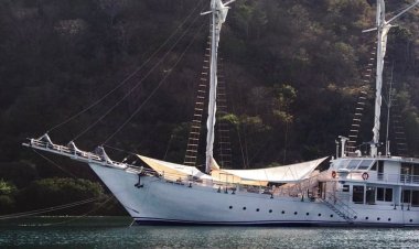 Google Doodle Persembahkan Kapal Pinisi: Warisan Budaya Tak Benda UNESCO yang Menjadi Pencitraan Indonesia