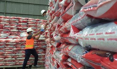 Bulog Siapkan Bansos Beras untuk 22 Juta Keluarga, Penyaluran Hingga Juni 2024