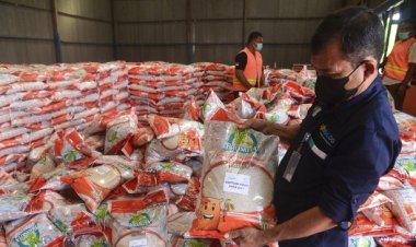 Bulog Perluas Jangkauan Bantuan Sosial, Siapkan Bansos Beras untuk 22 Juta Keluarga