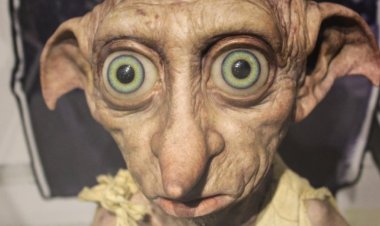 Saat Karakter Harry Potter Inspirasikan Psikologi: Dobby Syndrome