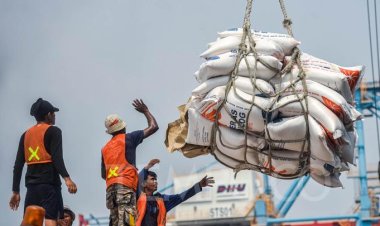 Jokowi Umumkan Impor 3 Juta Ton Beras, Perkuat Ketahanan Pangan Indonesia