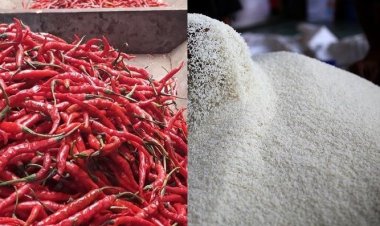 Lonjakan Harga Pangan pada Awal Pekan, Cabai dan Beras Jadi Sorotan, Apa Penyebabnya?