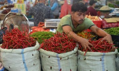 Kenaikan Harga Pangan pada Awal Pekan, Cabai dan Beras Melonjak Tinggi