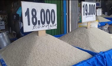 Lonjakan Harga Beras Pecahkan Rekor: Tembus Rp18 Ribu per Kg, Tertinggi dalam Sejarah Pemerintahan Jokowi