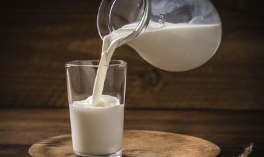 Blak-blakan Pengusaha Susu soal Kesiapan Makan Gratis Prabowo