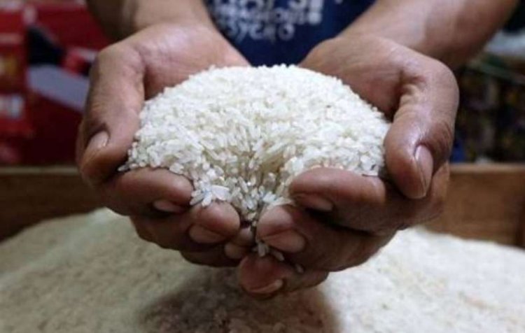 Rekor Baru! Harga Beras Pecahkan Batas Rp18 Ribu per Kg, Lonjakan Tertinggi dalam Era Jokowi