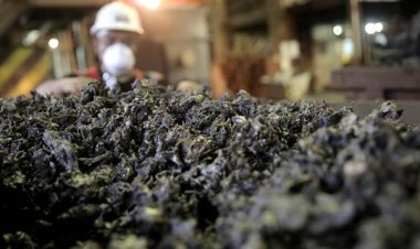 Ekspor Nikel dan Produk Turunannya Alami Penurunan 27,26 Persen pada Januari-Februari 2024